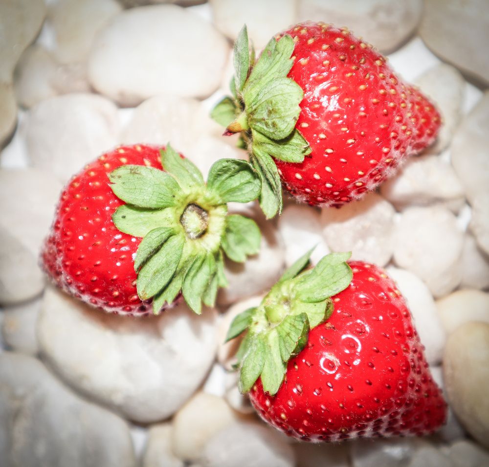 Photograph by Денис Геранькин