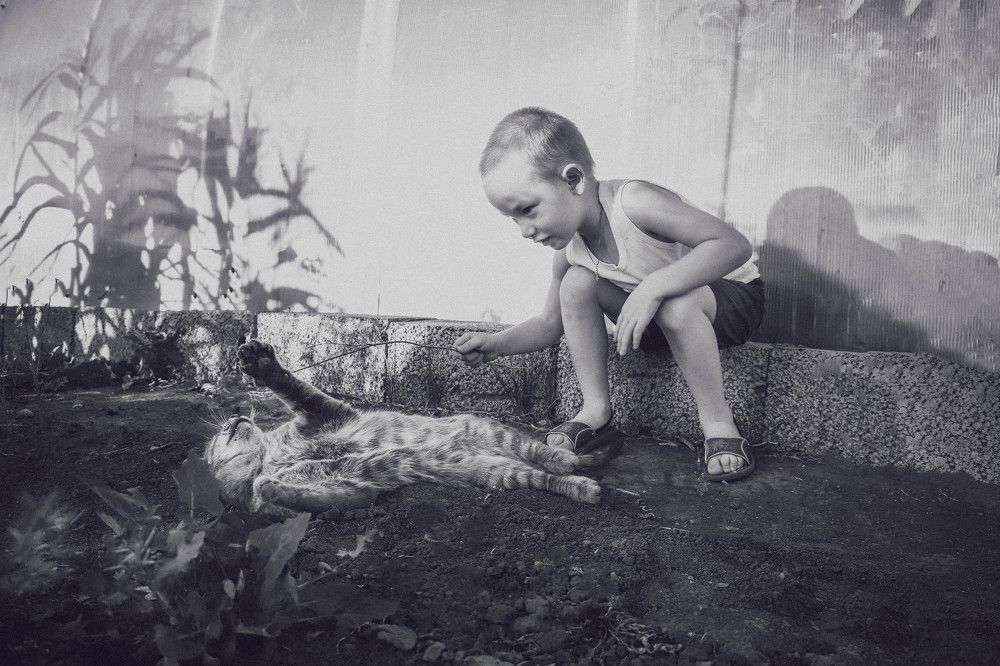 Photograph by Анастасия Чепурнова