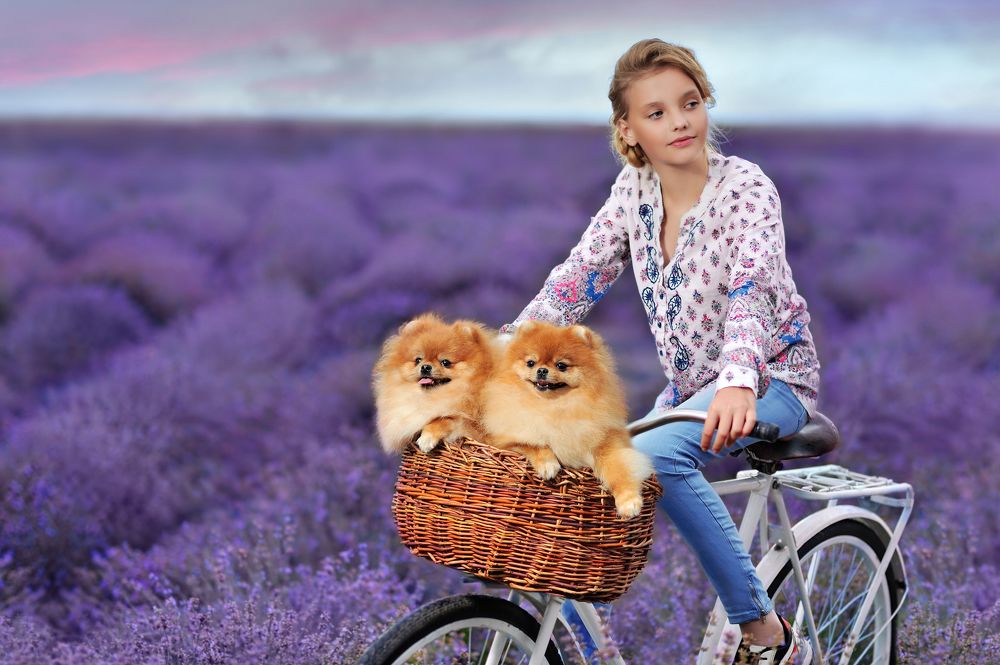 Photograph by Татьяна Калмацуй