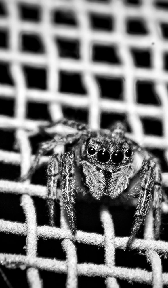 Photograph by Sumiran Waghmare