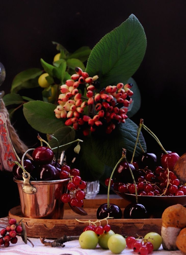 Photograph by Olga Asson