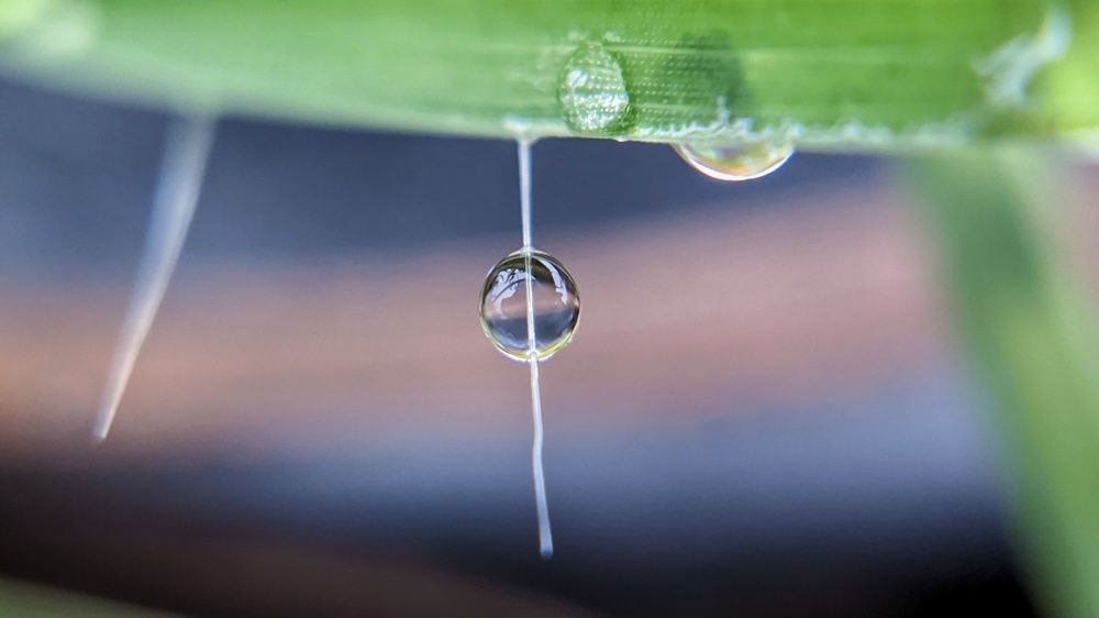 Photograph by Vijayakumar