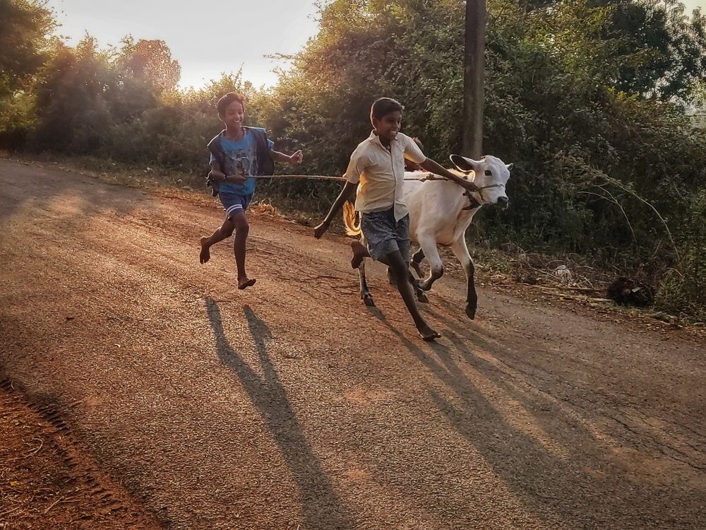 Photograph by Vijayakumar