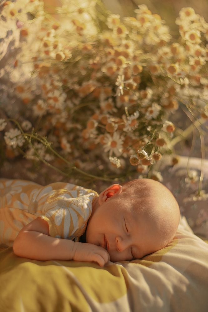 Photograph by Ася Легконогова