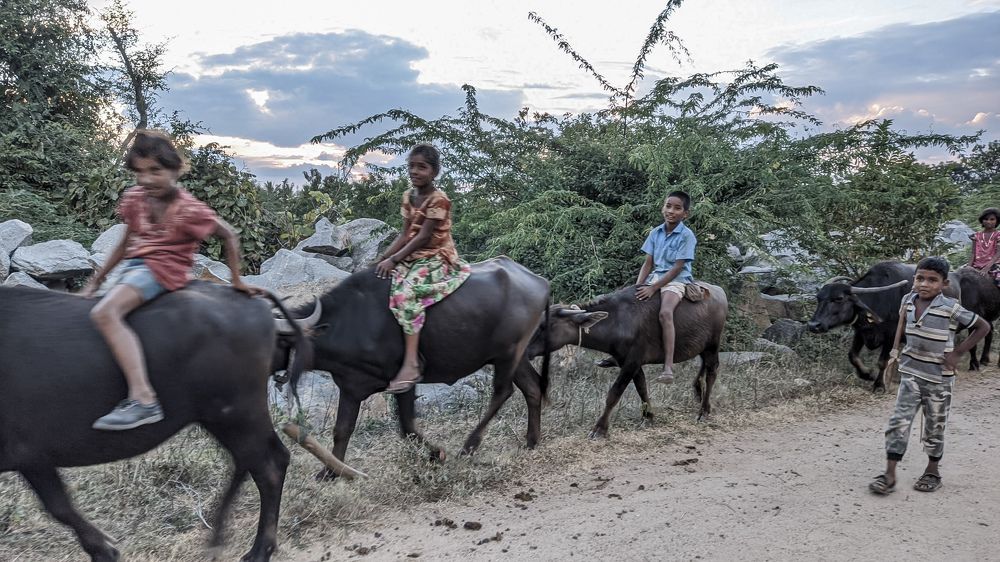 Photograph by Vijayakumar