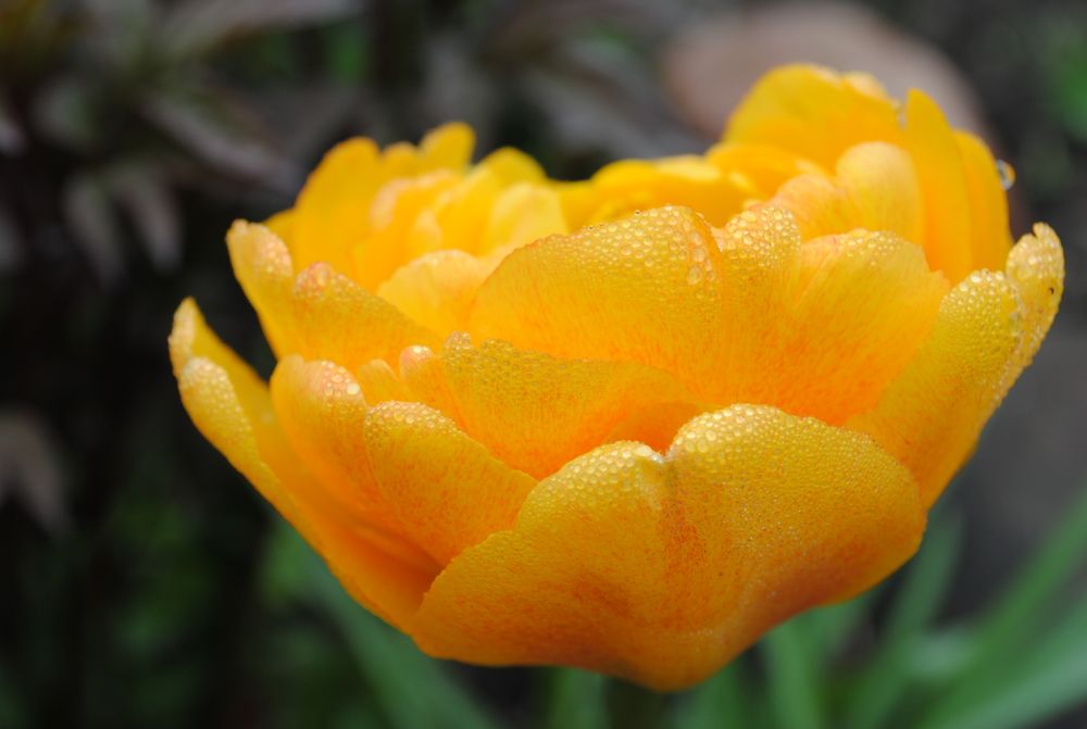 Photograph by ILONA JANUŠYTĖ