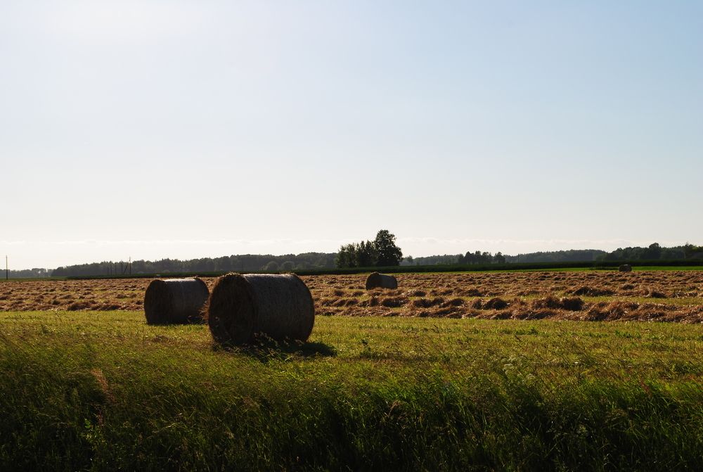 Photograph by ILONA JANUŠYTĖ