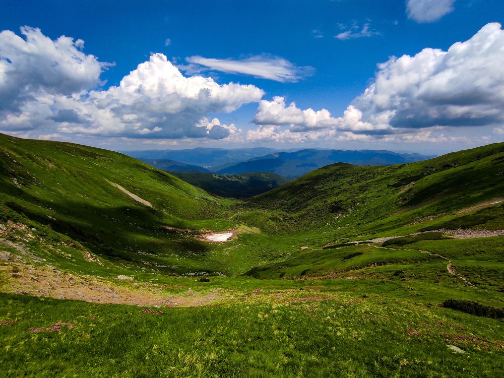Лето в Карпатах