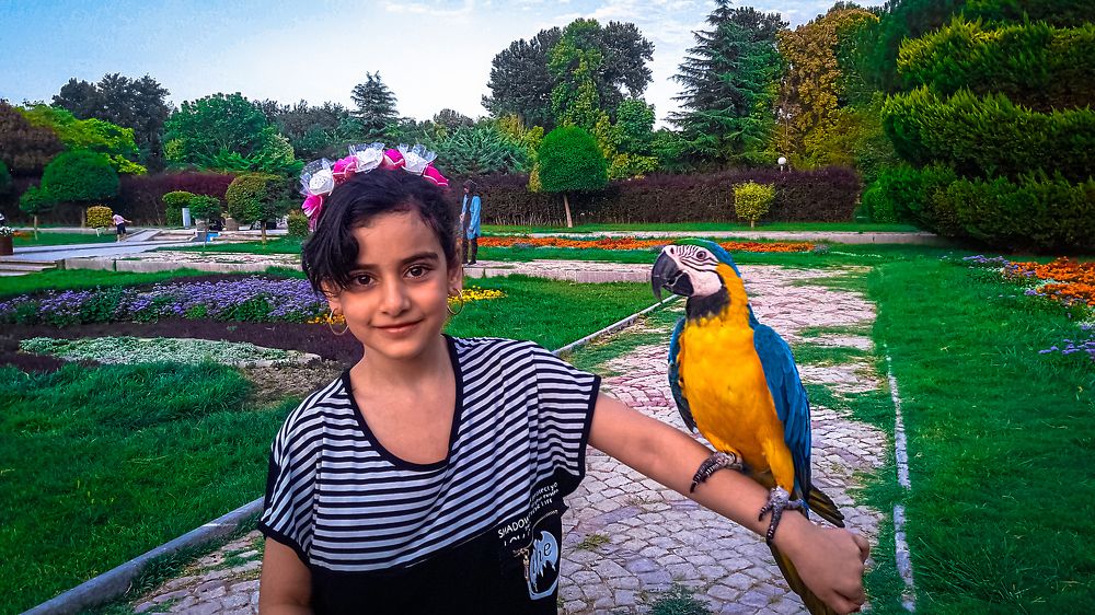 Children and animals