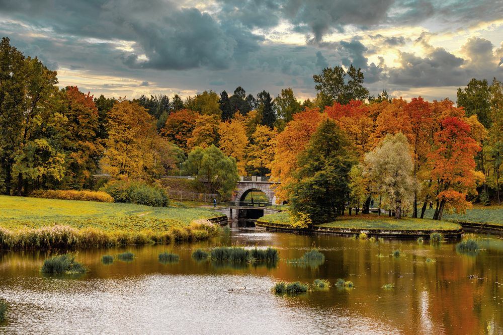 Царство осени