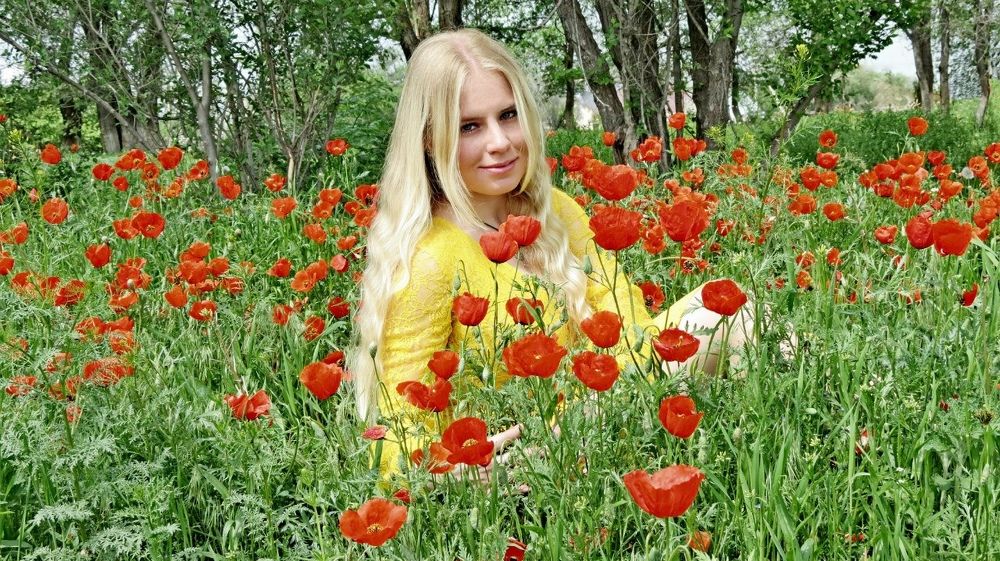 Весеннее настроение.  в тюльпанах