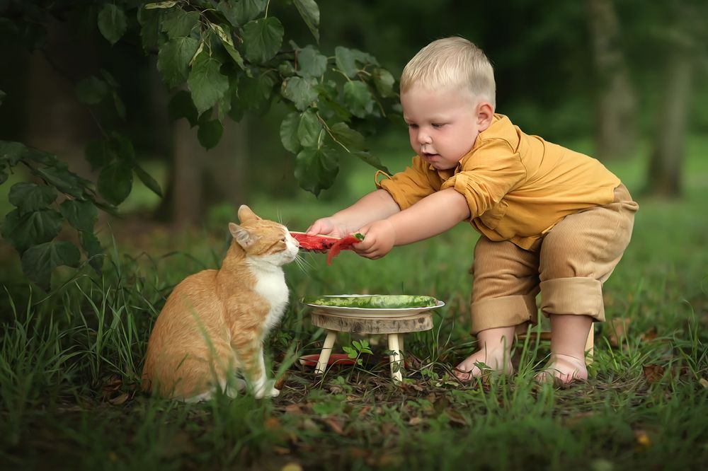Фотография автора Любовь Белугина