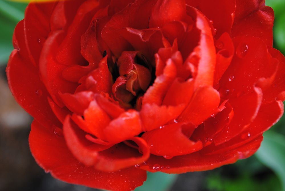 Photograph by ILONA JANUŠYTĖ