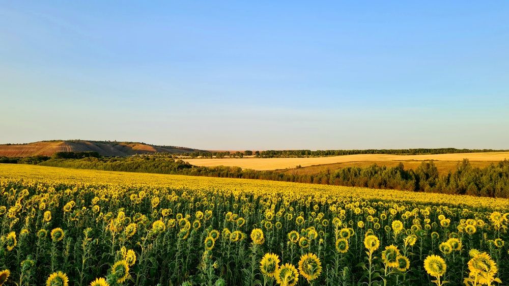 Photograph by Половова Ирина