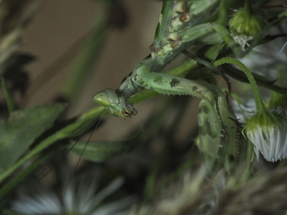 Photograph by Екатерина Рябинина