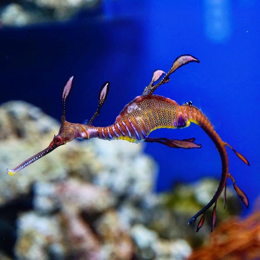 Photograph by Сергей Кузнецов