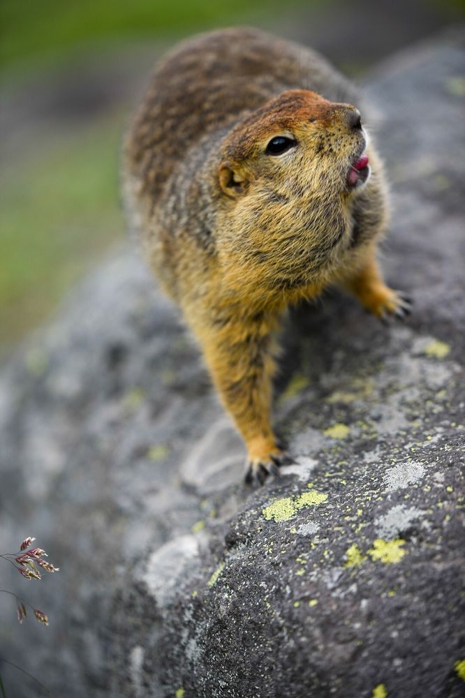 Photograph by Захар Петров