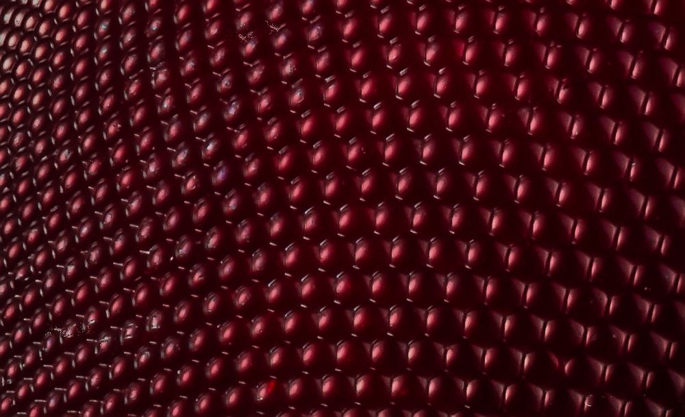 Estructura ojo de mosca