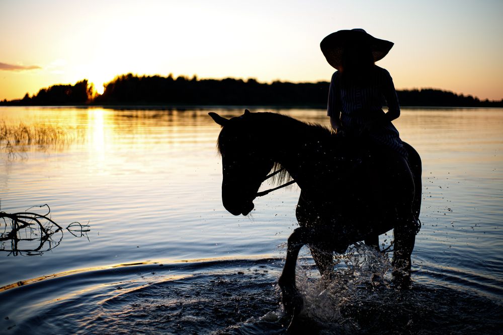 Силуэтный Приметный