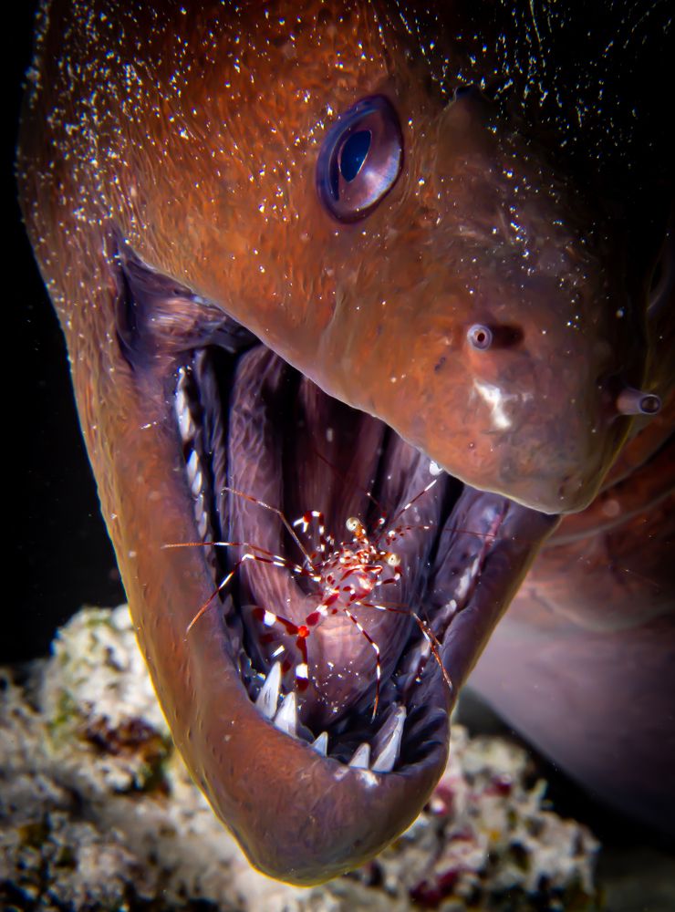 Photograph by Alexander Plakida