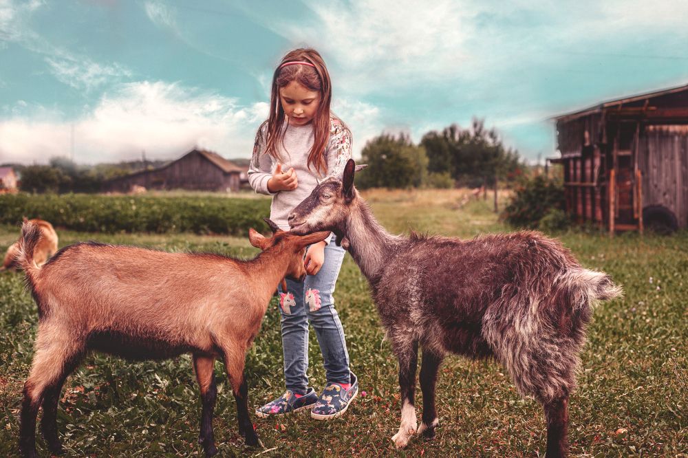 Фотография автора Алена Левина