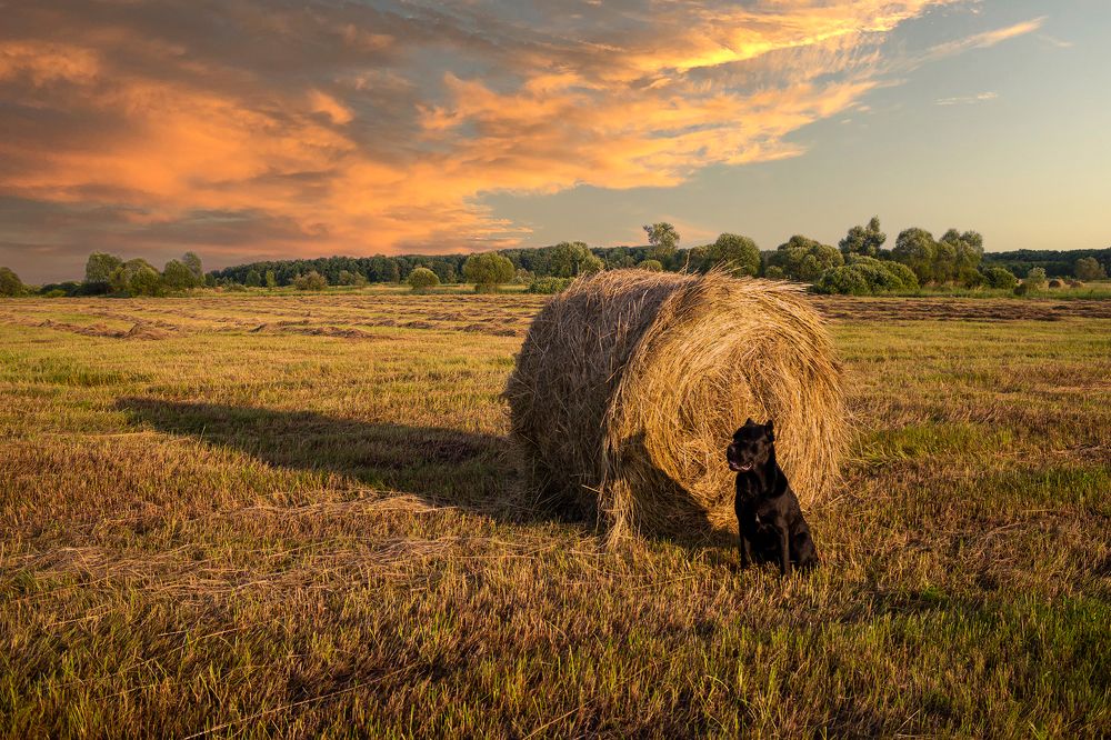 Photograph by Yaroslav Sibilenko