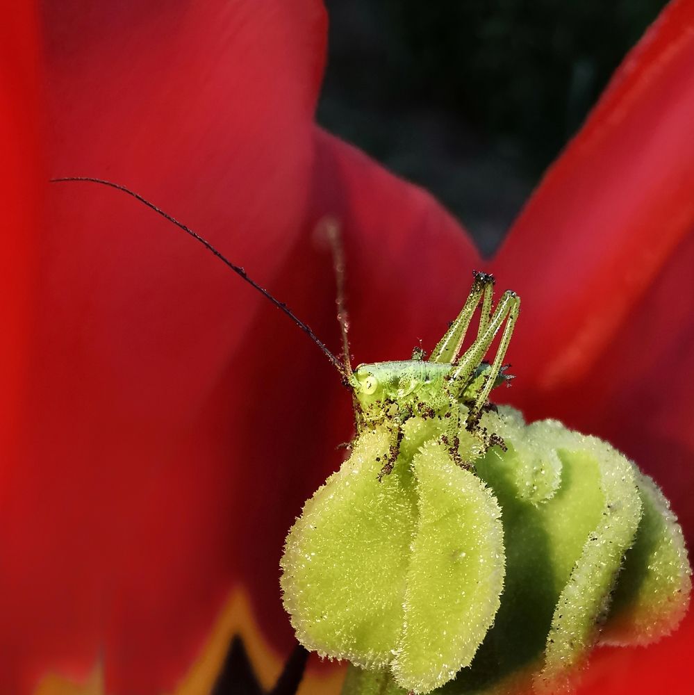 Photograph by Оксана Маракушина