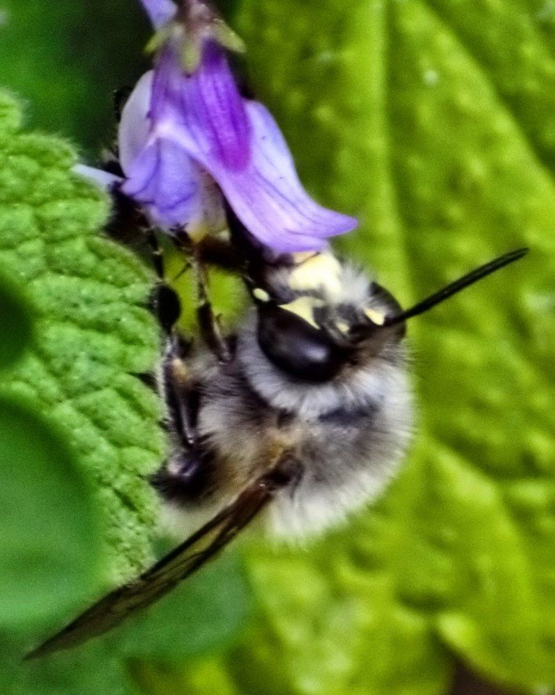 Photograph by SIMONE CIULLI