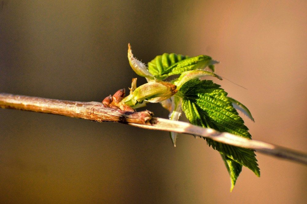 Photograph by SIMONE CIULLI