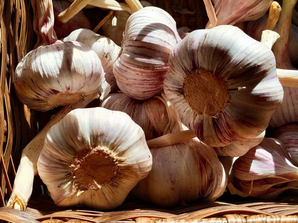 Фотография автора Larisa Meshkova