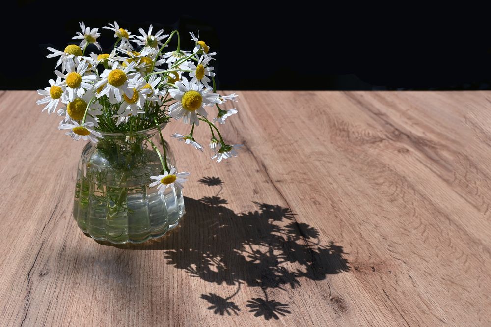 Фотография автора Larisa Meshkova