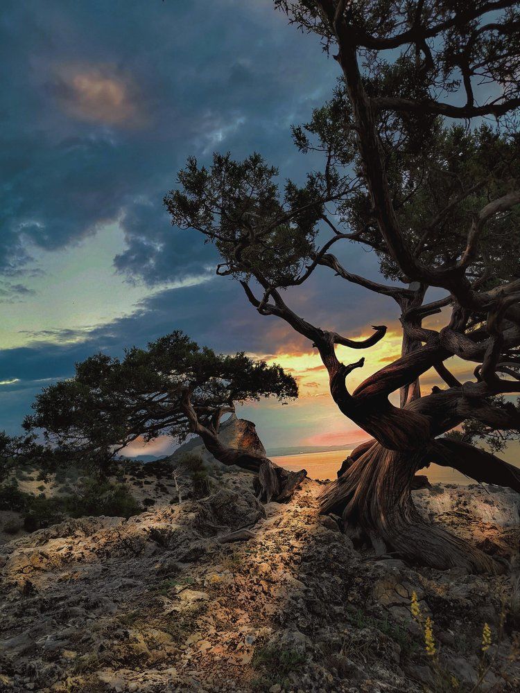 Первые лучи в РАЮ?