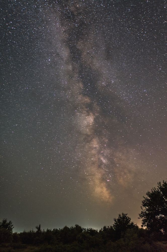 Photograph by Анастасия Киселева