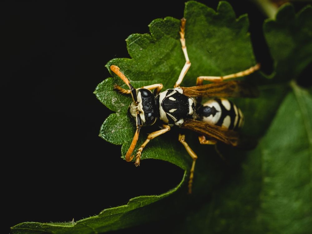 Photograph by Анастасия Киселева