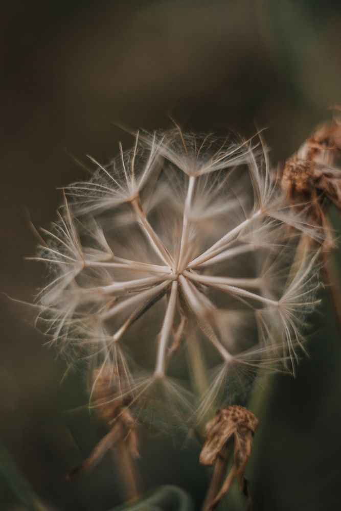 Photograph by Анастасия Киселева