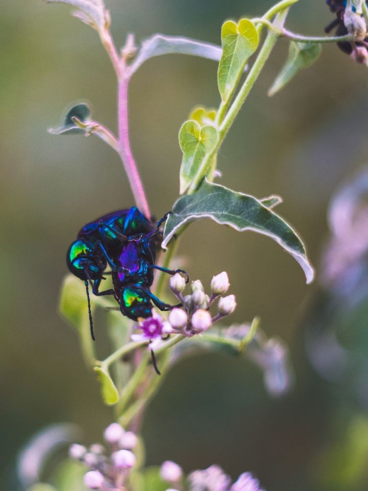Photograph by Анастасия Киселева