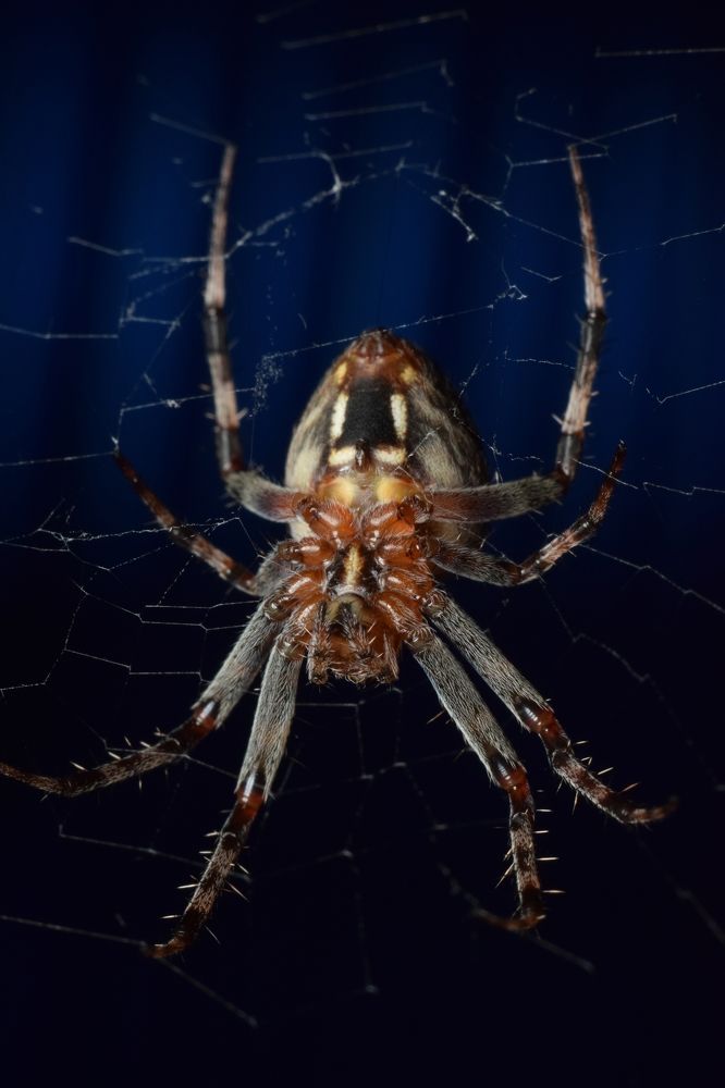 Photograph by Анастасия Киселева