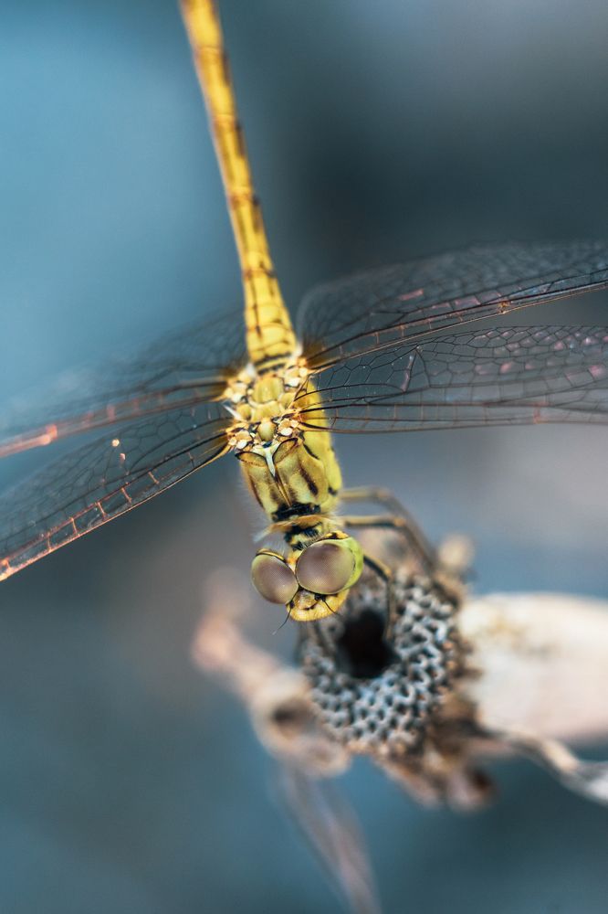 Photograph by Анастасия Киселева