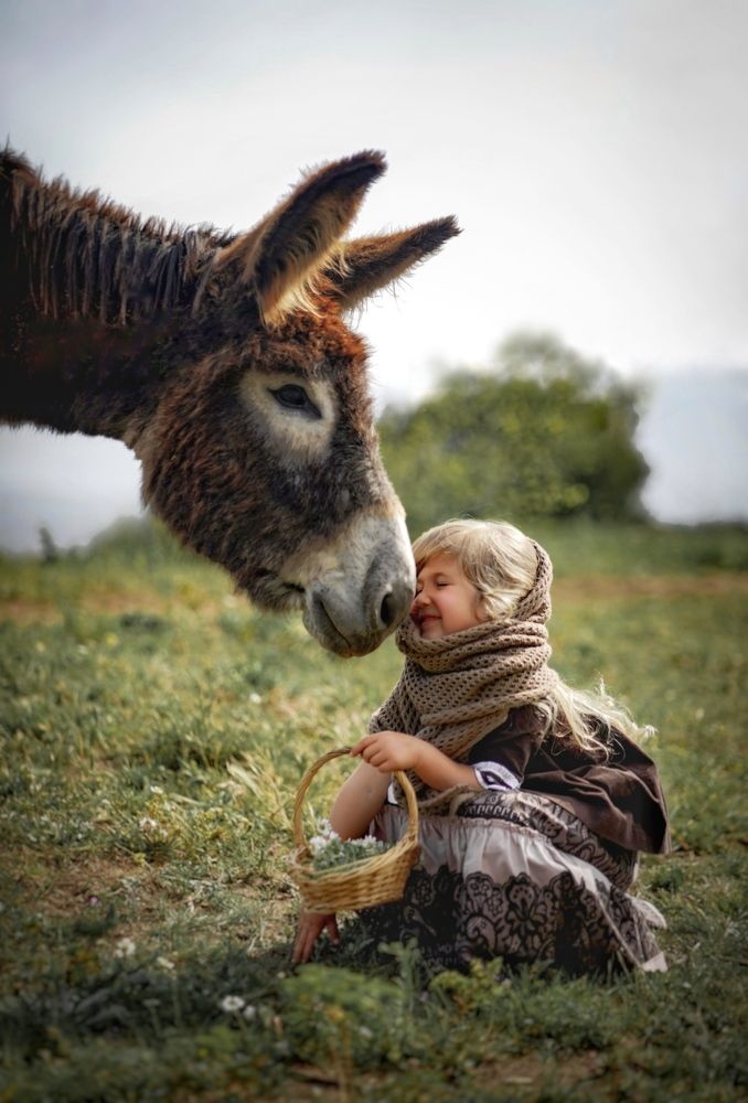 Photograph by Светлана Стрижакова