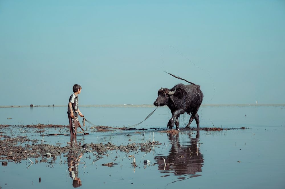 Photograph by sajad Mohammed