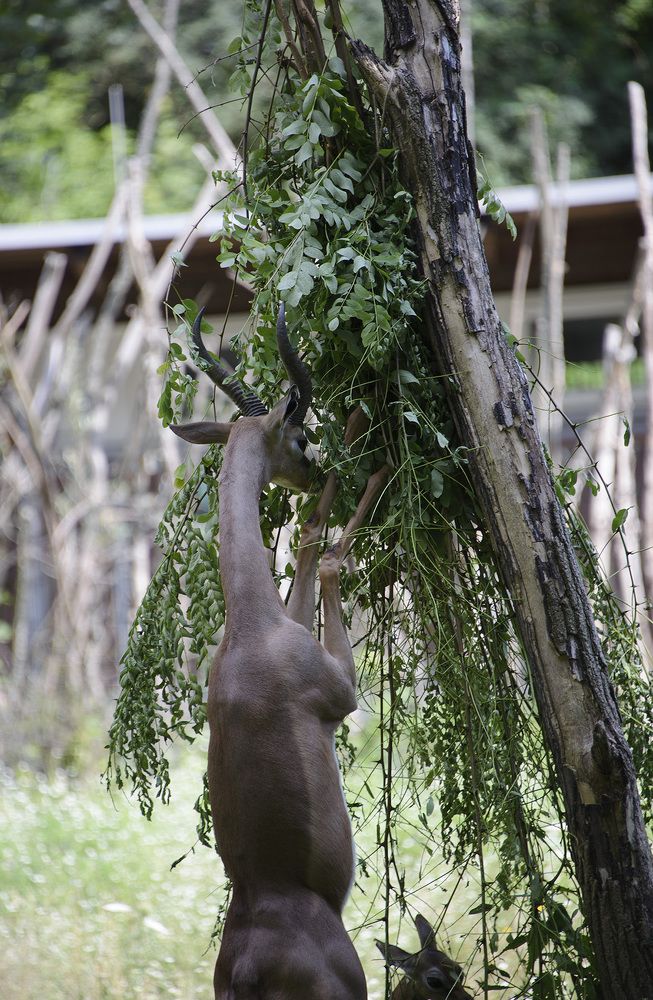 Photograph by Raivo Kremer