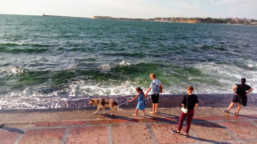 Photograph by Елена Коробкина