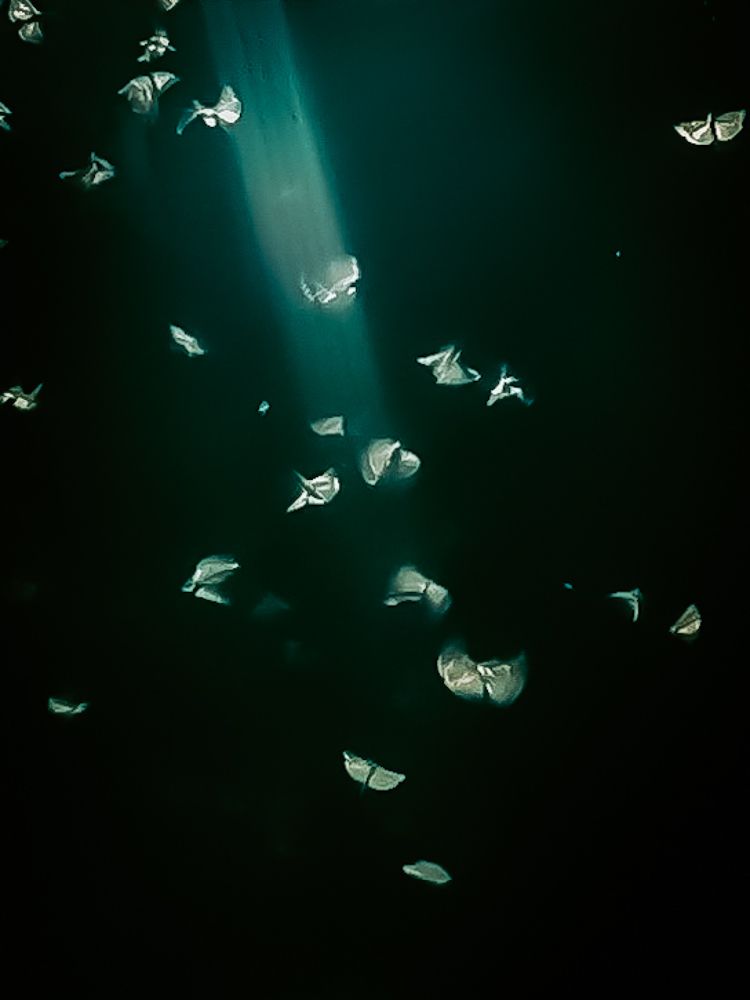 Photograph by Лилия Образцова