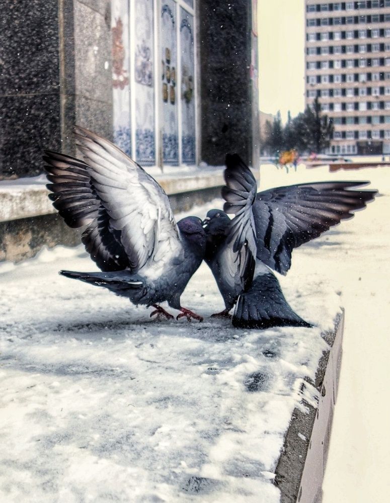 Фотография автора Марина