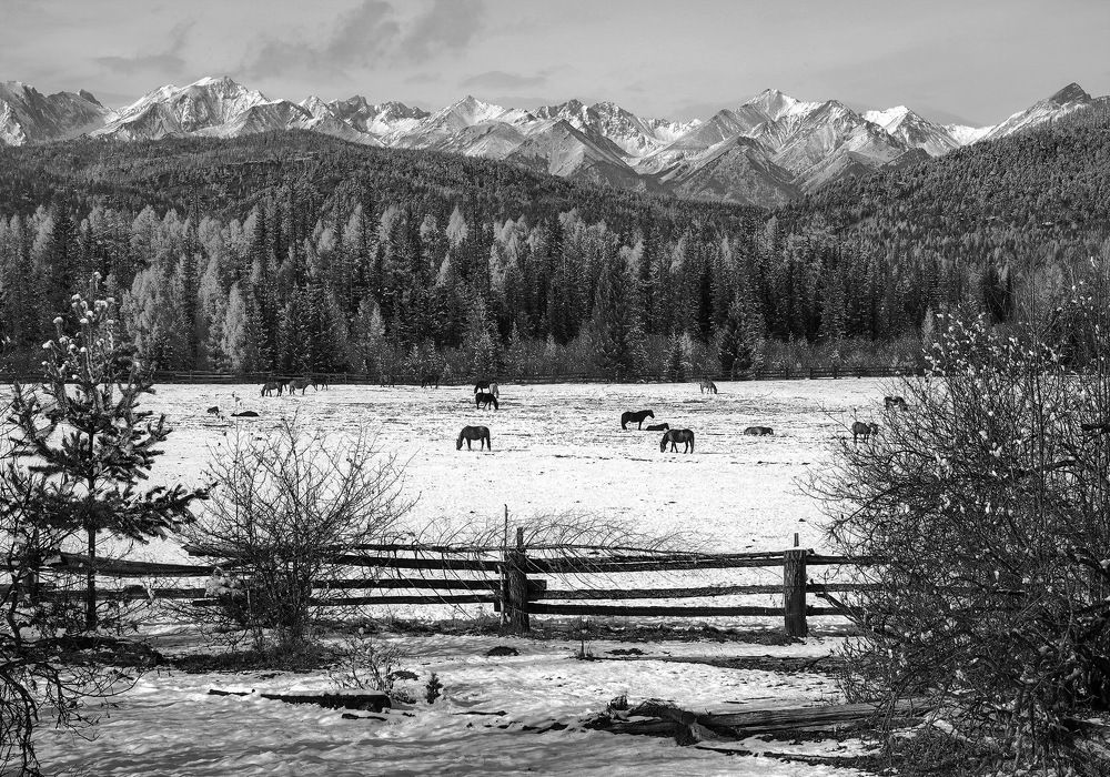 Photograph by Александр Попов