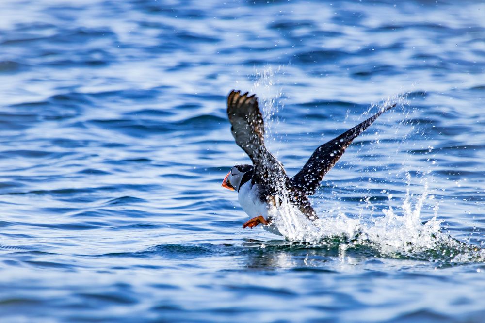 Разгон... полёт