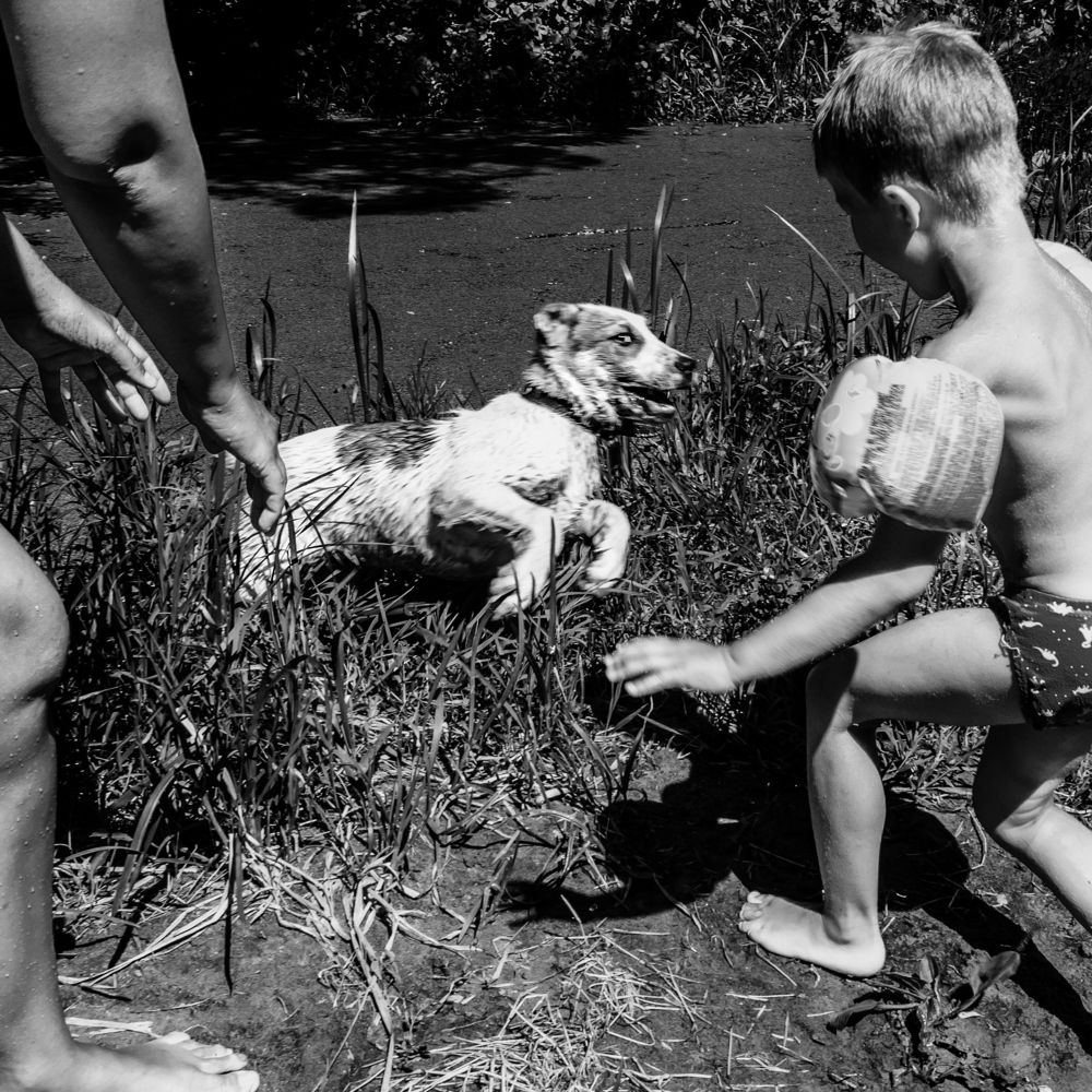 Photograph by Юрий Вертиков