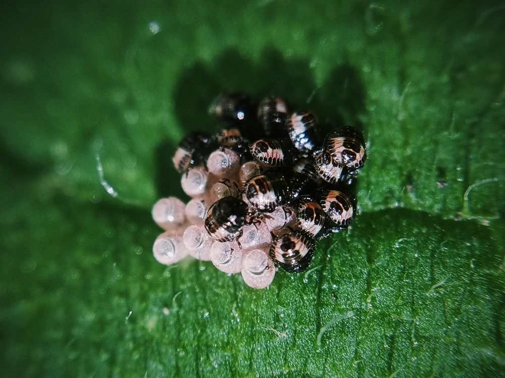 Photograph by Ольга Мажарук