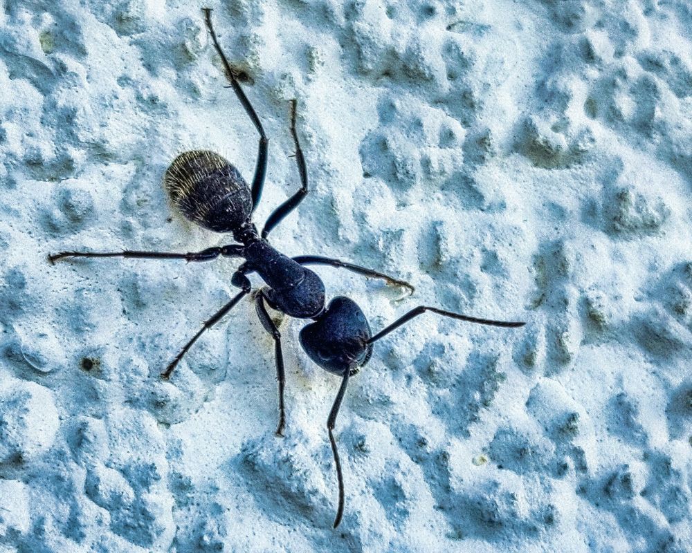 Photograph by Sandor Zoltan Gal