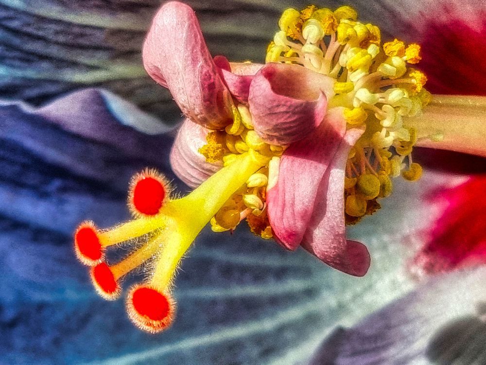 Photograph by Sandor Zoltan Gal